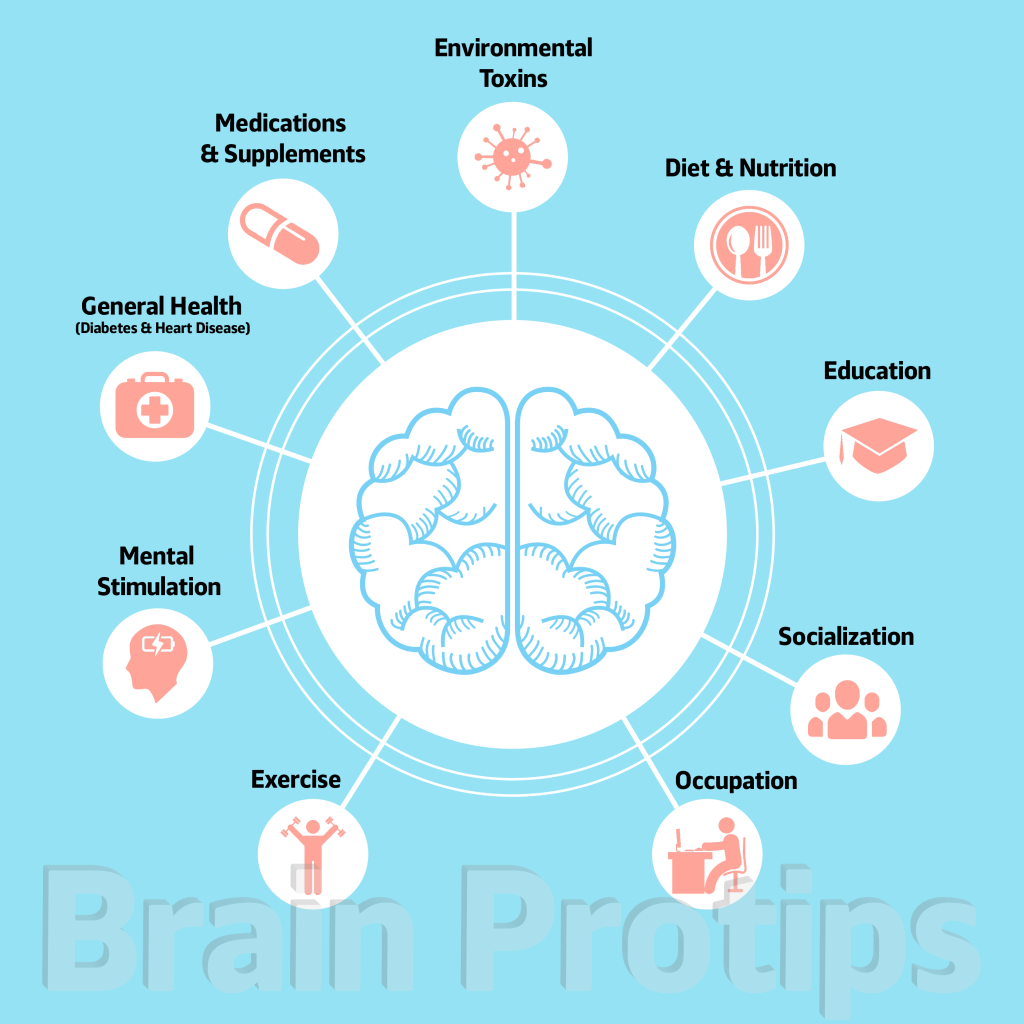 brain-lifestyle-factors